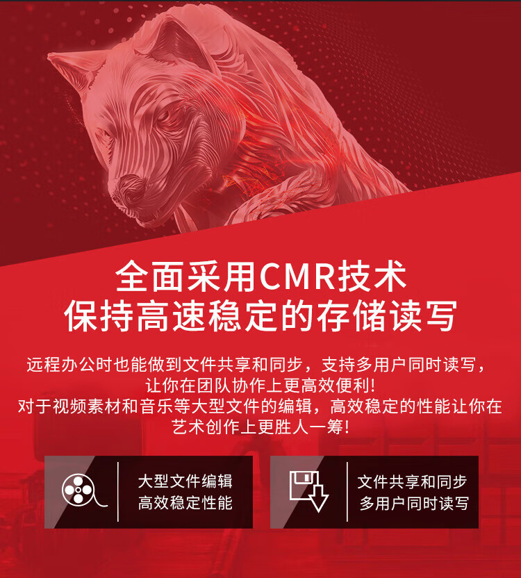 希捷（SEAGATE）NAS硬盘 16TB 256MB 7200转 CMR垂直 网络存储 SATA 数据恢复服务 酷狼PRO ST16000NT001