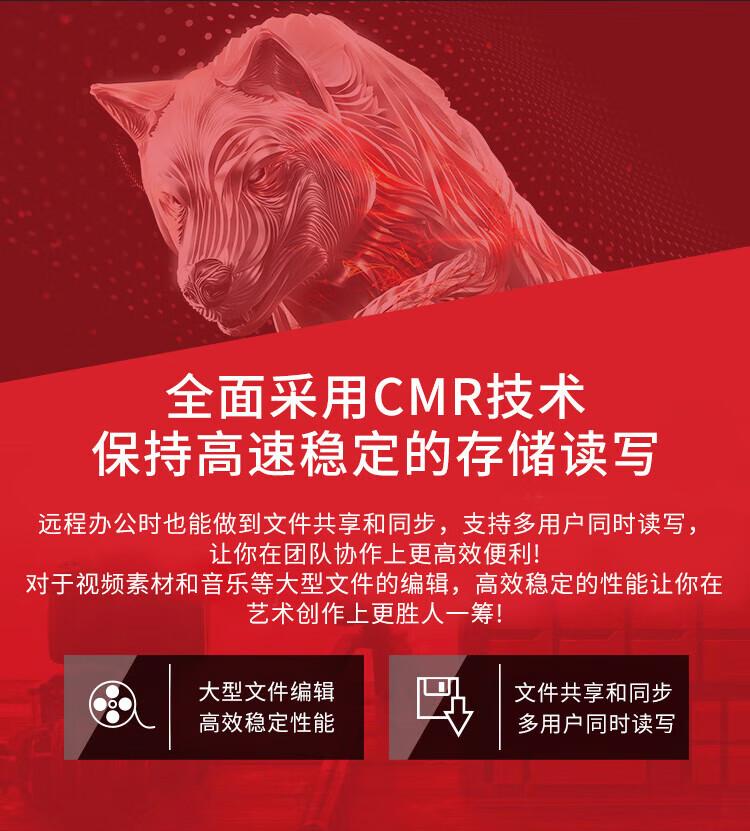 希捷（SEAGATE）NAS硬盘 18TB 256MB 7200转 CMR垂直 网络存储 SATA 数据恢复服务 酷狼PRO ST18000NT001