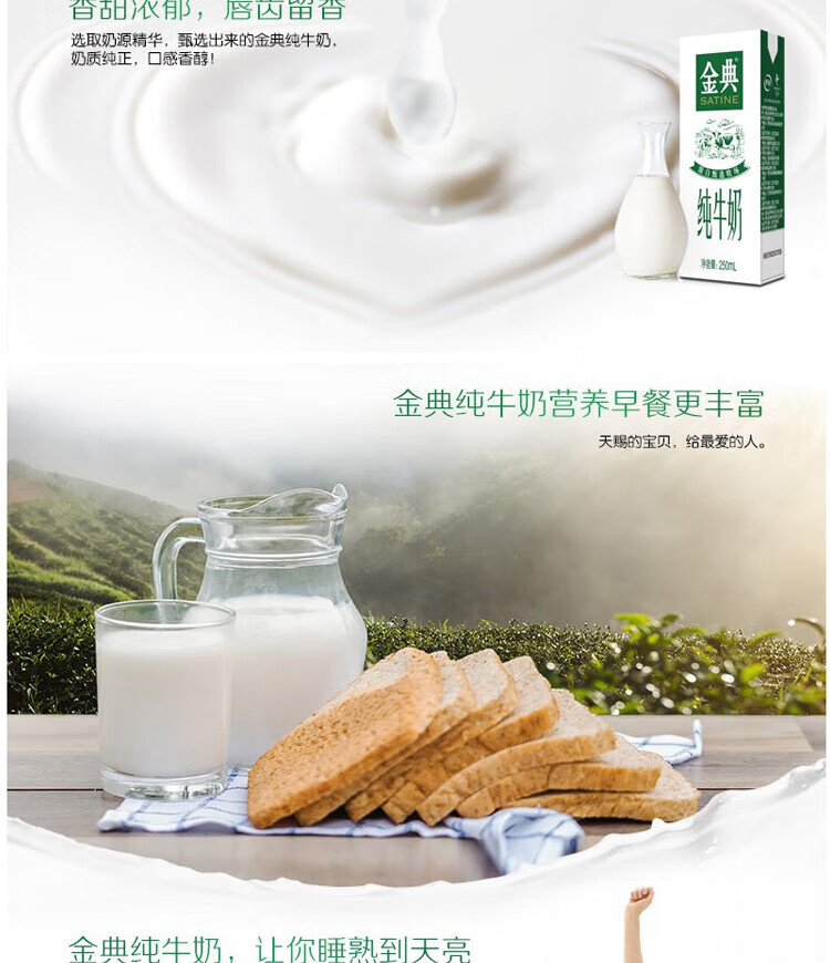 伊利 金典纯牛奶250ml*12盒/箱3.6g蛋白质 礼盒120mg原生高钙牛奶