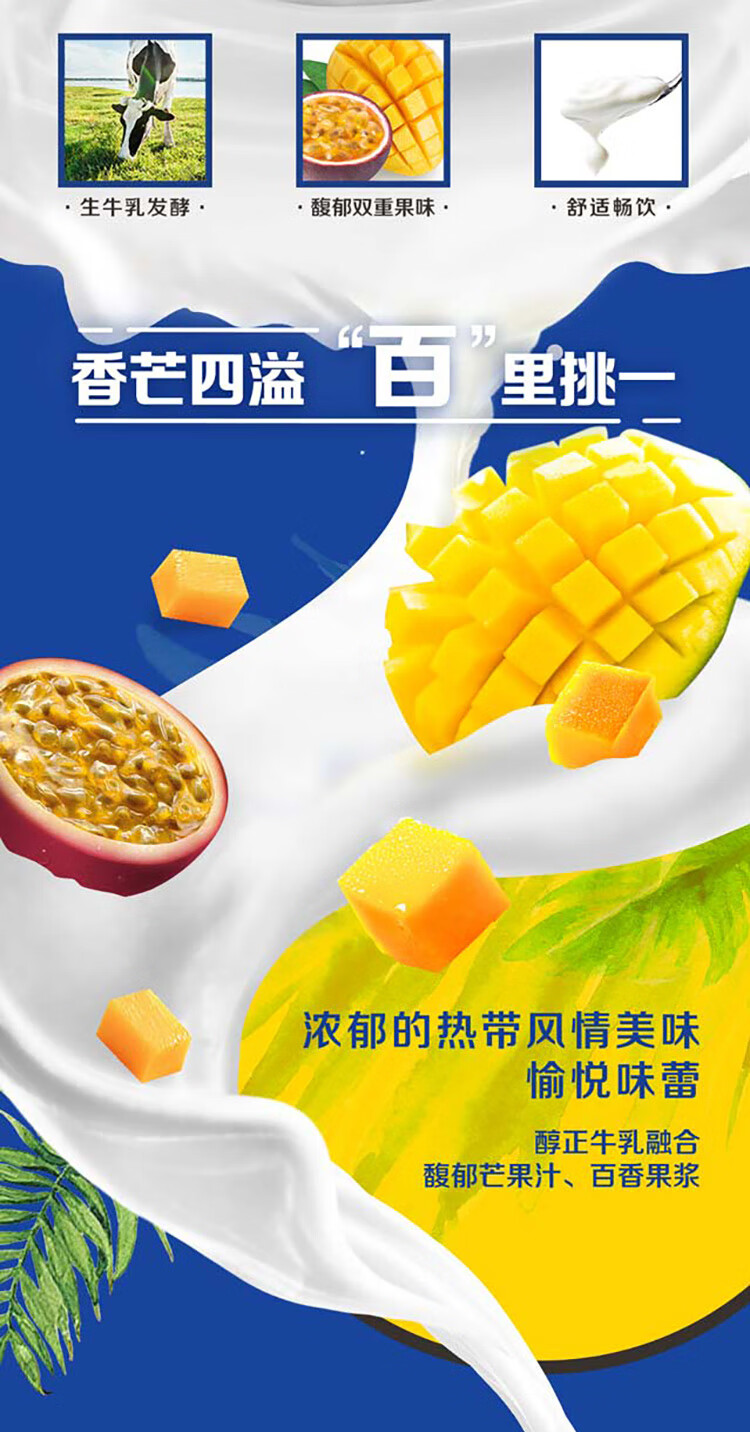 伊利 安慕希 芒果百香果希腊风味酸牛奶 送礼团购礼盒230g*10瓶/箱