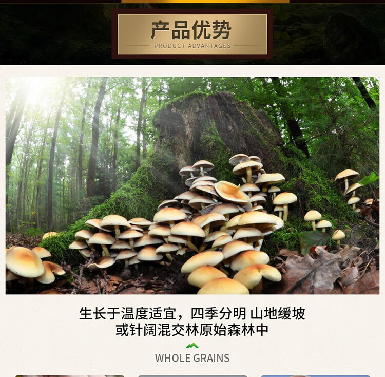 首粮 送礼礼盒然萃-山珍佳礼干菌佳礼山干货土特产菌菇7种组合共1330g