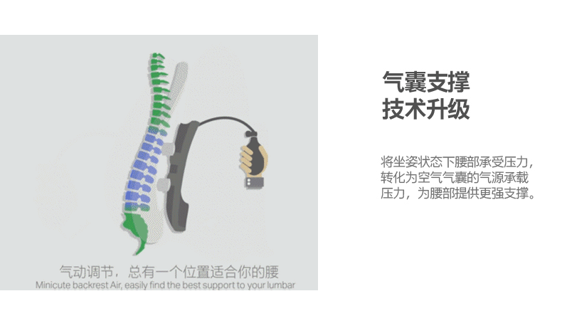 米乔 人体工学 办公室腰枕 减压腰垫 经典版 莲瓣 WP-0442 1个