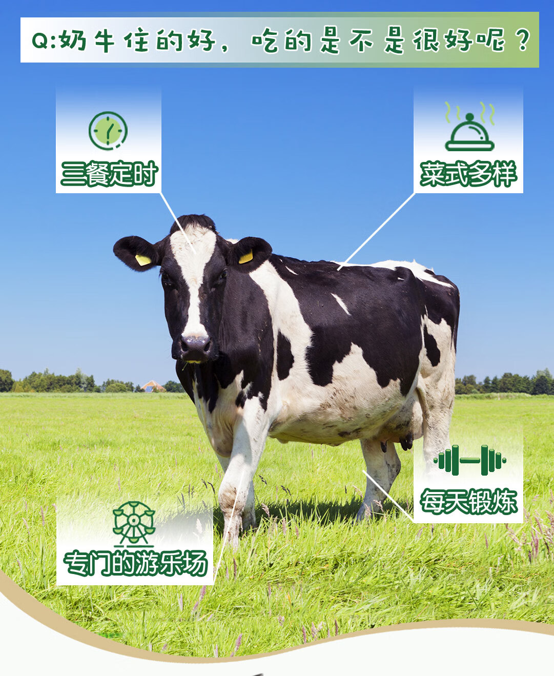 伊利金典金小典儿童有机牛奶195ml*16盒/箱成长牛奶 送礼团购礼盒装