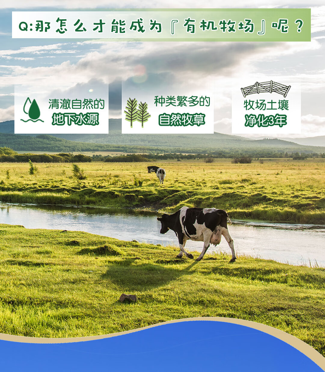 伊利金典金小典儿童有机牛奶195ml*16盒/箱成长牛奶 送礼团购礼盒装