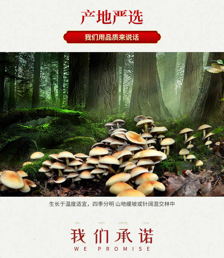 首粮 送礼团购礼盒南北干货 干菌食用大礼包山珍如意干菌礼盒1580g