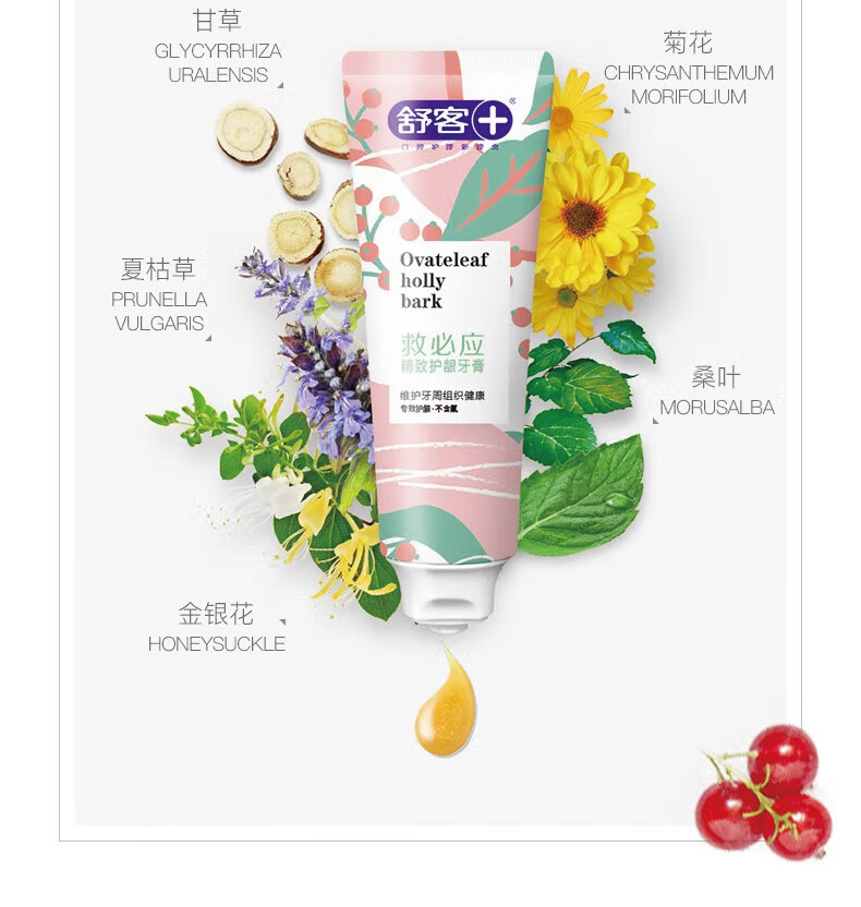 舒客 W2111374救必应精致护龈牙膏  冰露植萃香型120g*3