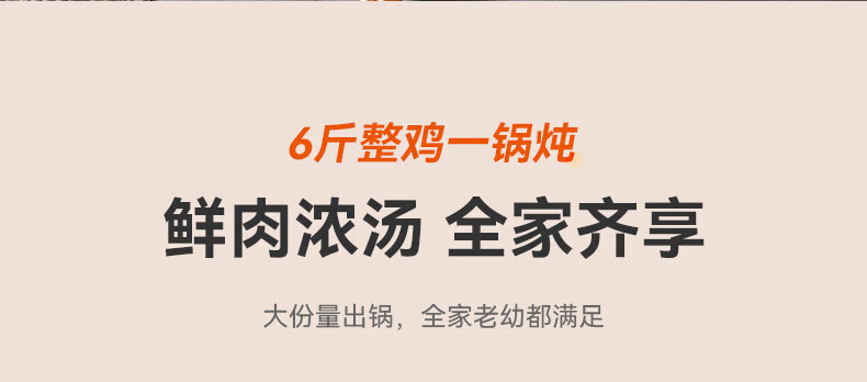 苏泊尔（SUPOR）智能预约电压力锅6L大容量触控面板家用保温煮饭煲汤易清洁双球釜内胆60YC8001Q