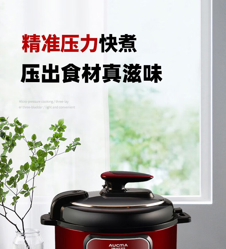 澳柯玛（AUCMA）电压力锅AKYL-602D