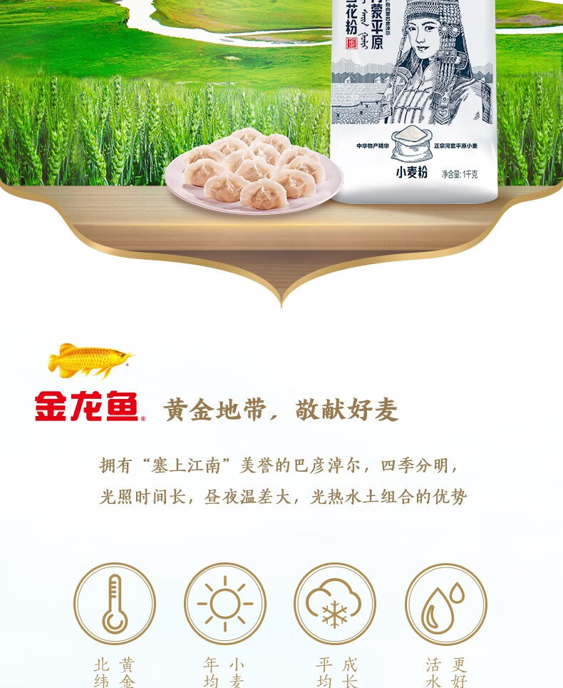 金龙鱼 面粉礼盒（1kg河套平原雪花粉*4）