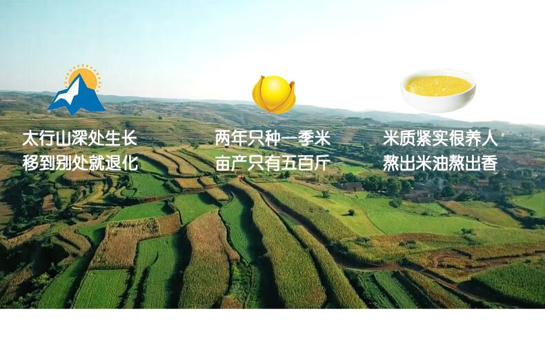 沁州 五谷杂粮 黄小米礼盒2kg