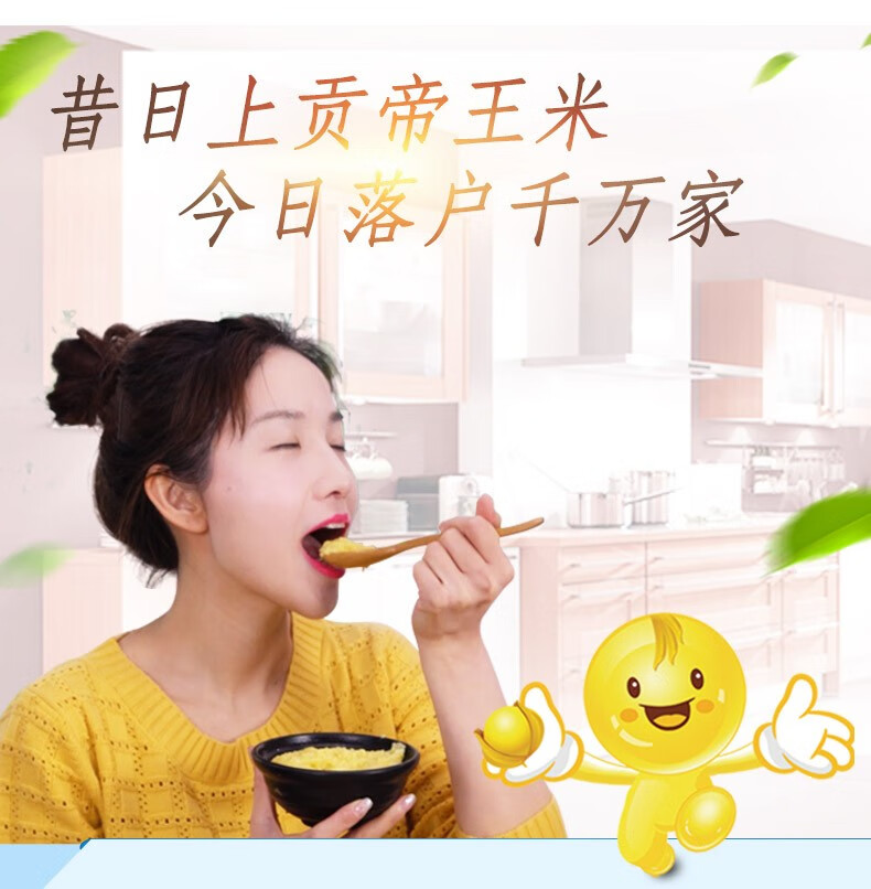 沁州 五谷杂粮 黄真空装小米礼盒5kg