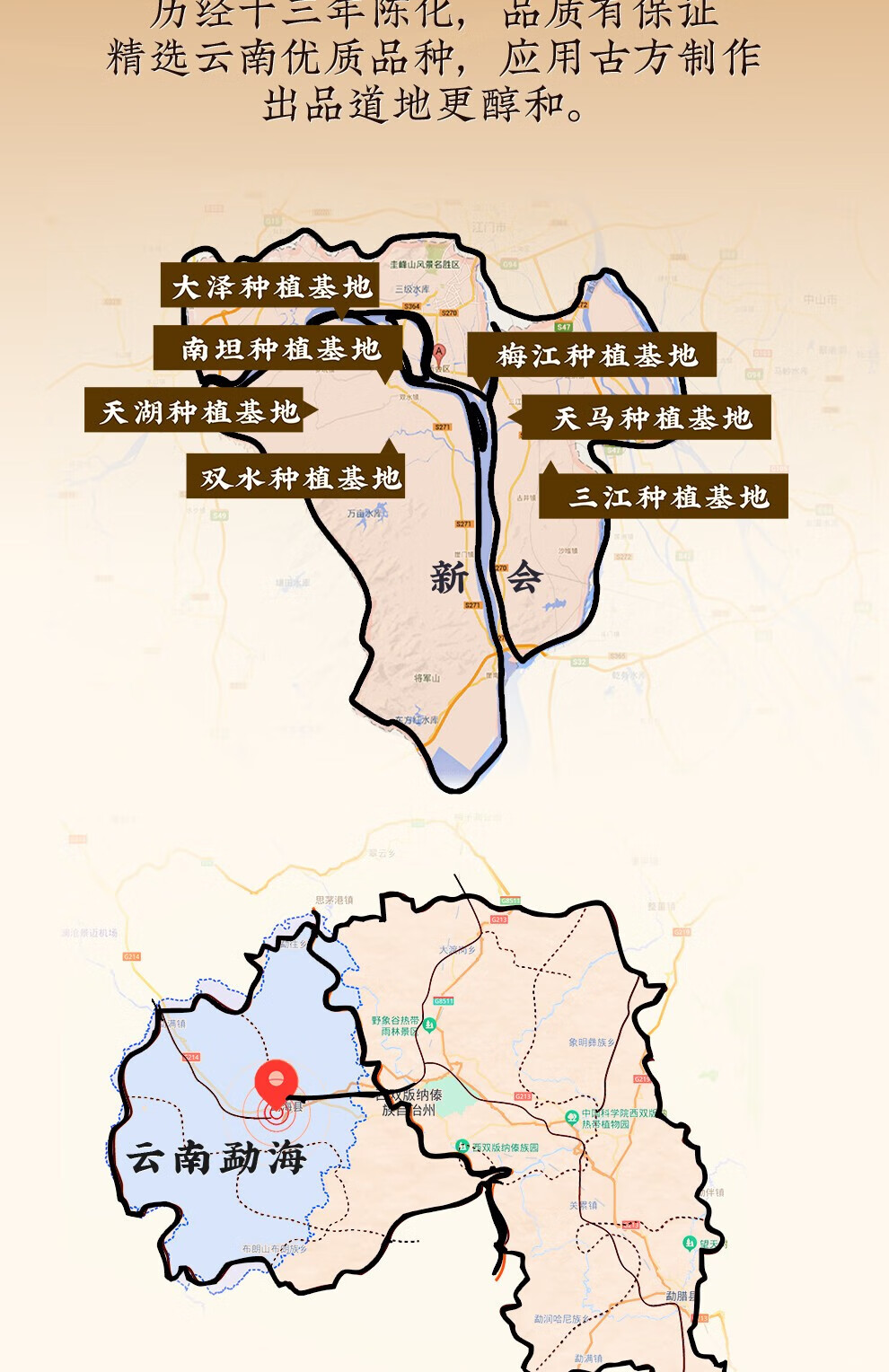 新宝堂 十三年新会陈皮陈普茶广东特产礼盒72克CY-CP13