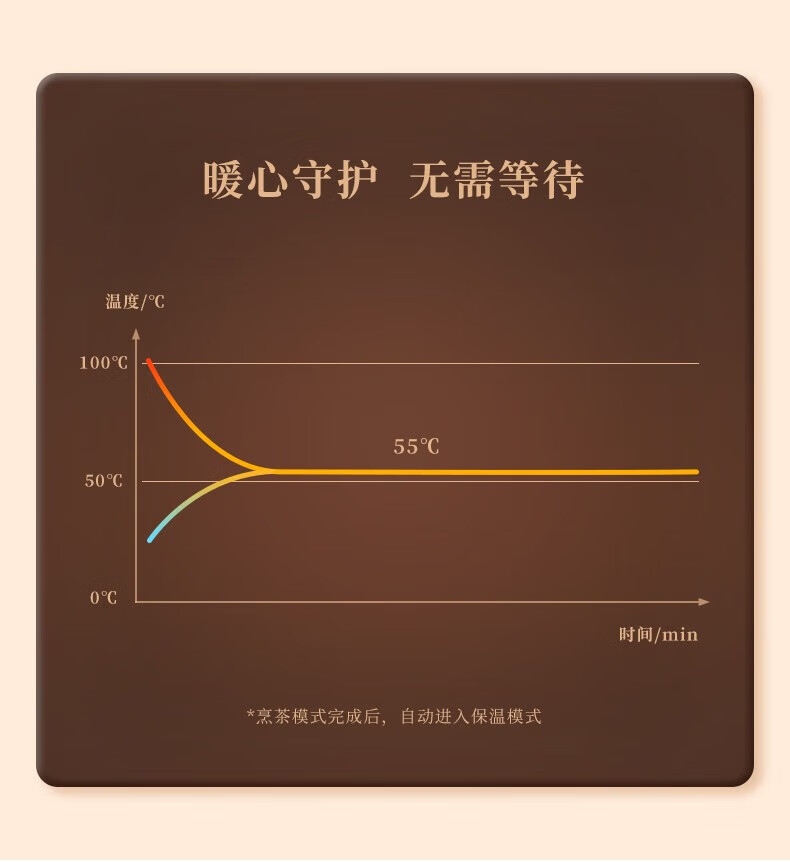 长虹（CHANGHONG）养生壶双壶套装迷你 家用办公室多功能 家用一体多功能花茶壶 烧水壶电水壶CTN-XT73