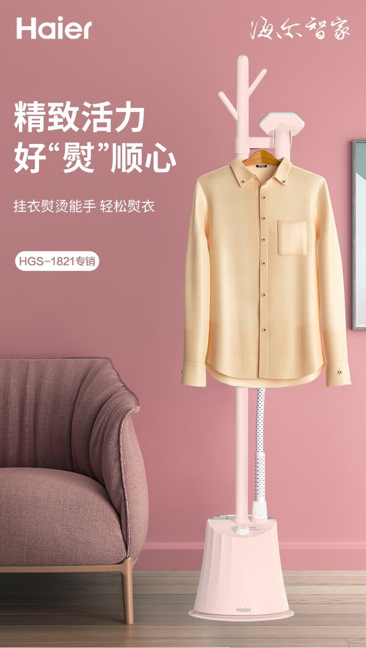 海尔（Haier）家用小型蒸汽熨斗熨烫机 旅行出差 HGS-1821