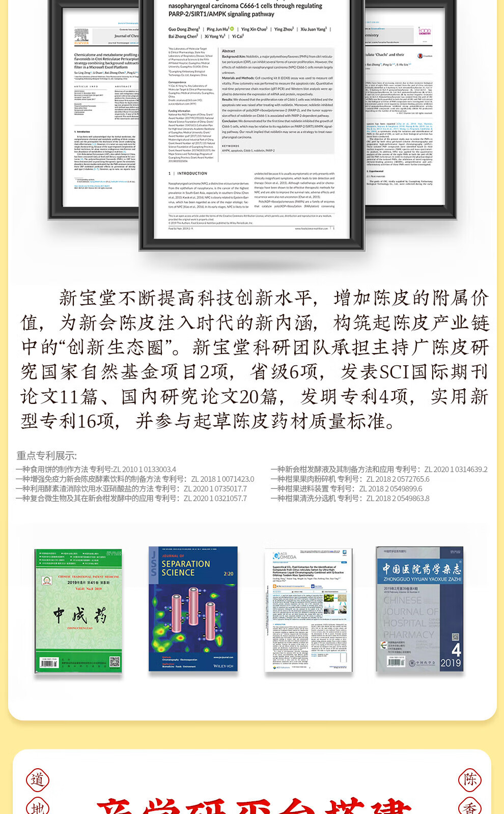 新宝堂 十六年新会陈皮陈普茶熟茶礼盒72克CY-CP16