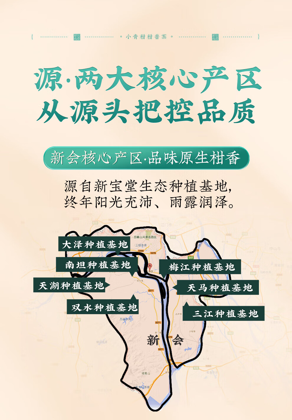 新宝堂 新会小青柑柑普茶熟茶送礼礼盒180克CY-QG180