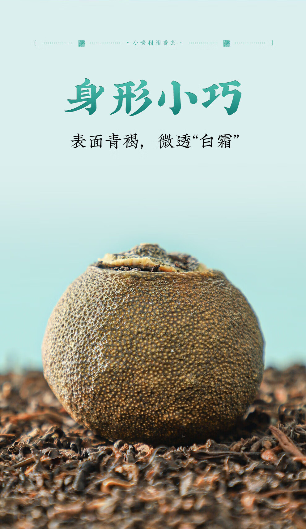 新宝堂 新会小青柑柑普茶熟茶送礼礼盒180克CY-QG180