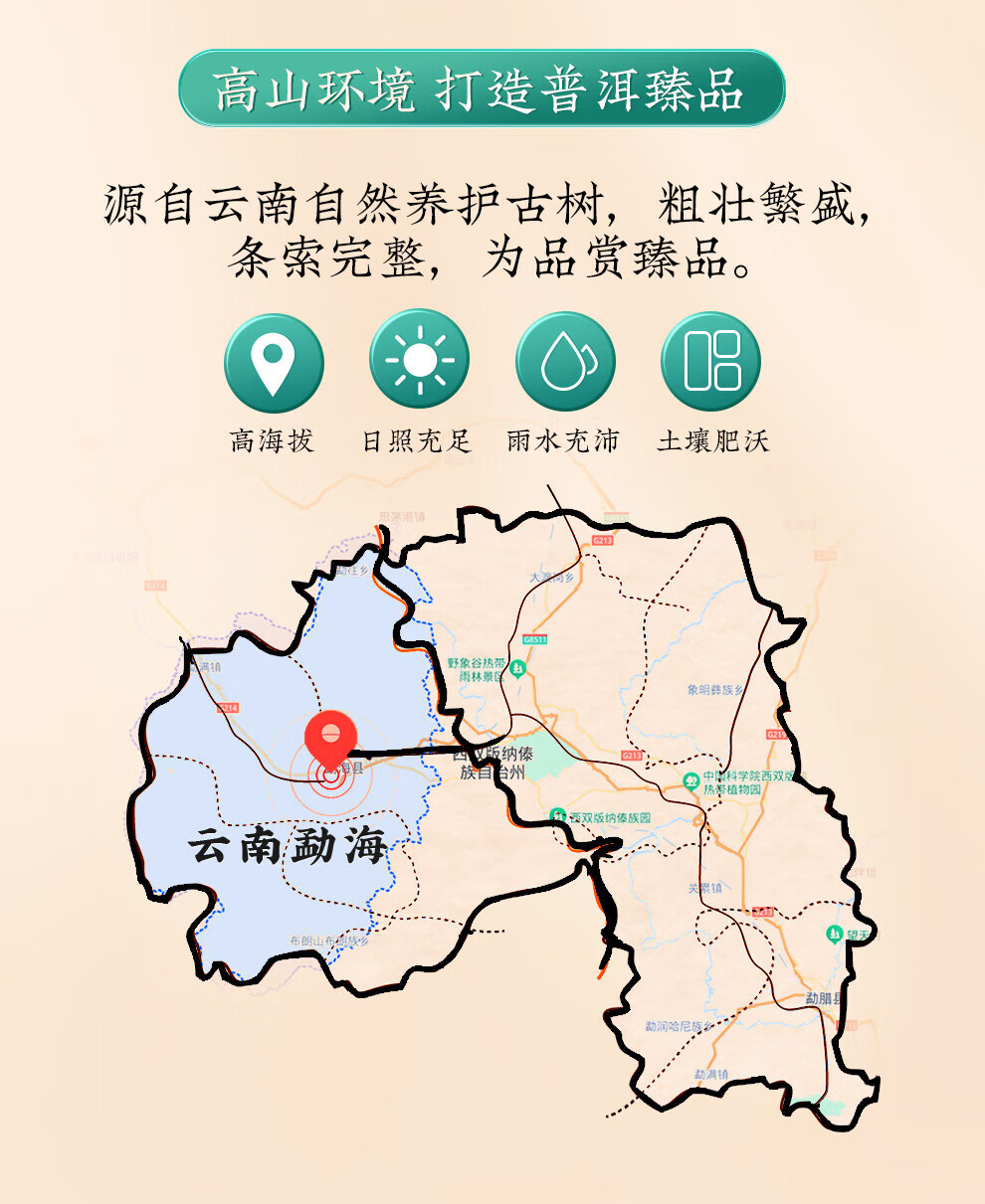 新宝堂 新会小青柑柑普茶熟茶送礼礼盒180克CY-QG180