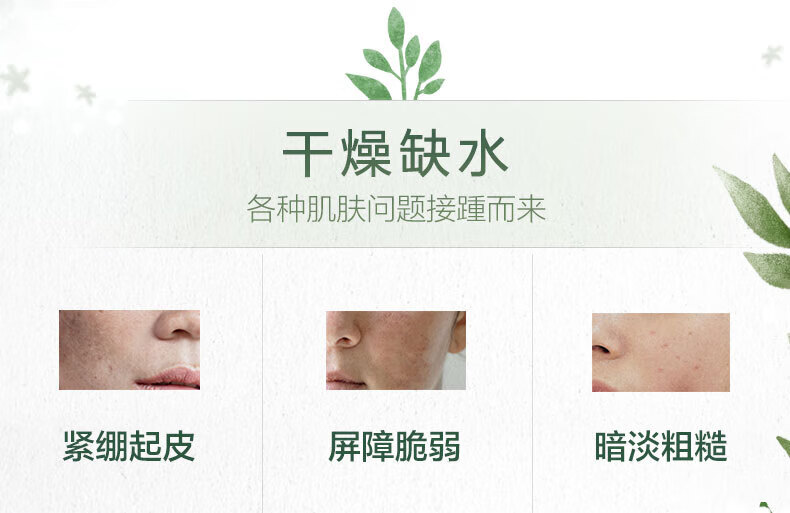 自然堂（CHANDO）雪域紫草细致毛孔面膜26ml*5片 ZHT-1ZWMZC
