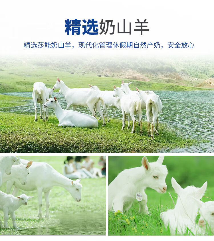 卓牧 精选纯山羊奶儿童成人早餐奶200ml*6礼盒装*2