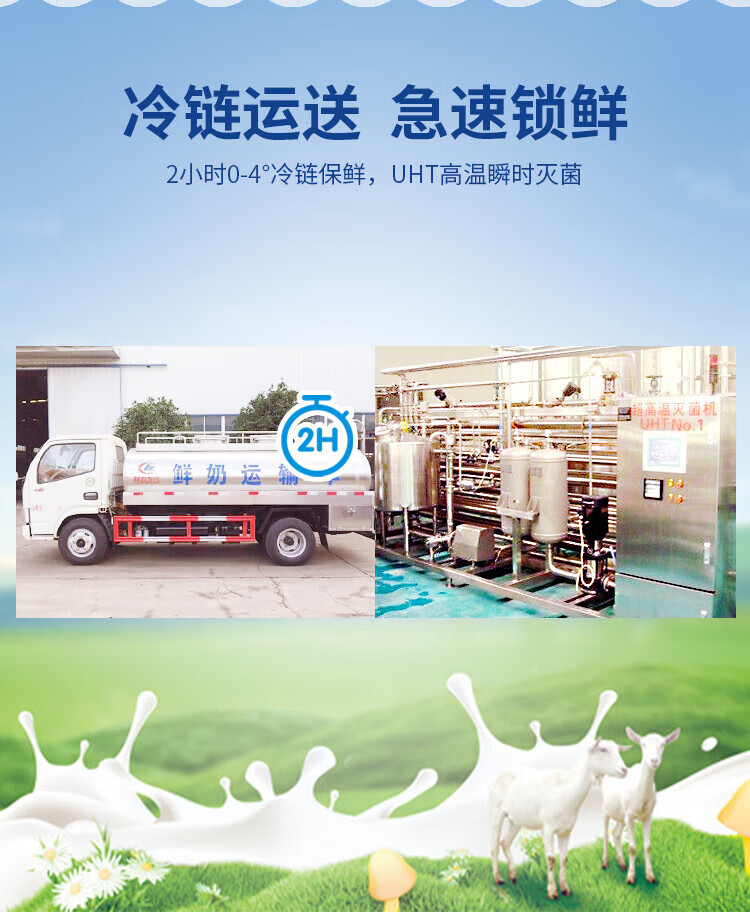 卓牧 精选纯山羊奶儿童成人早餐奶200ml*6礼盒装*2