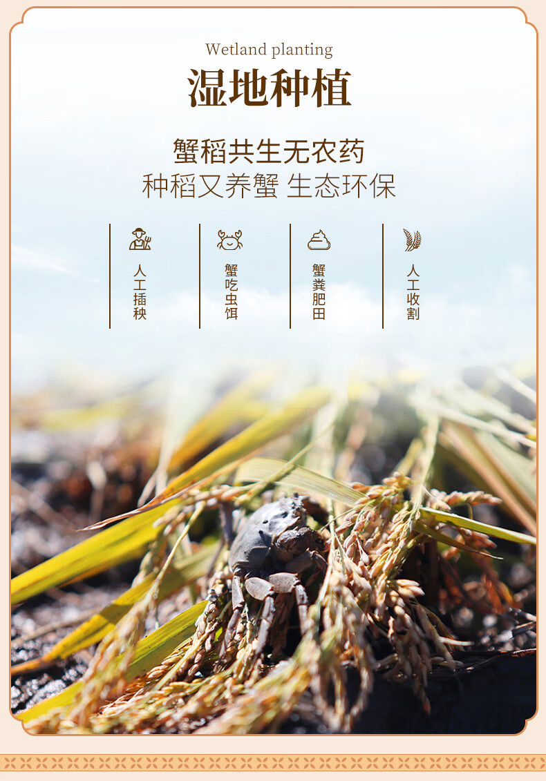 裕道府 五常湿地有机大米礼盒（金盒）5kg