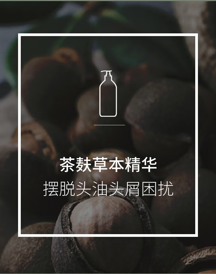 阿道夫 神兽山海经系列茶麸组合C(祛油止痒+祛屑止痒+深度滋养350ml)