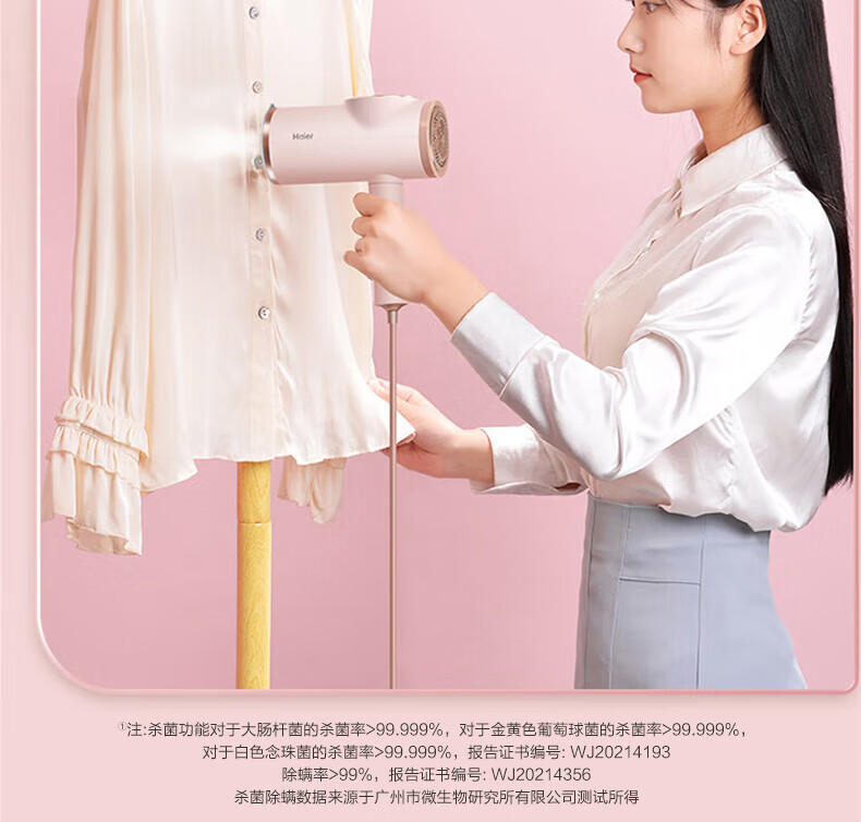 海尔（Haier）手持挂烫机家用小型蒸汽熨斗熨烫机干湿双熨旅行出差折叠熨衣机修毛球 HY-GW1203