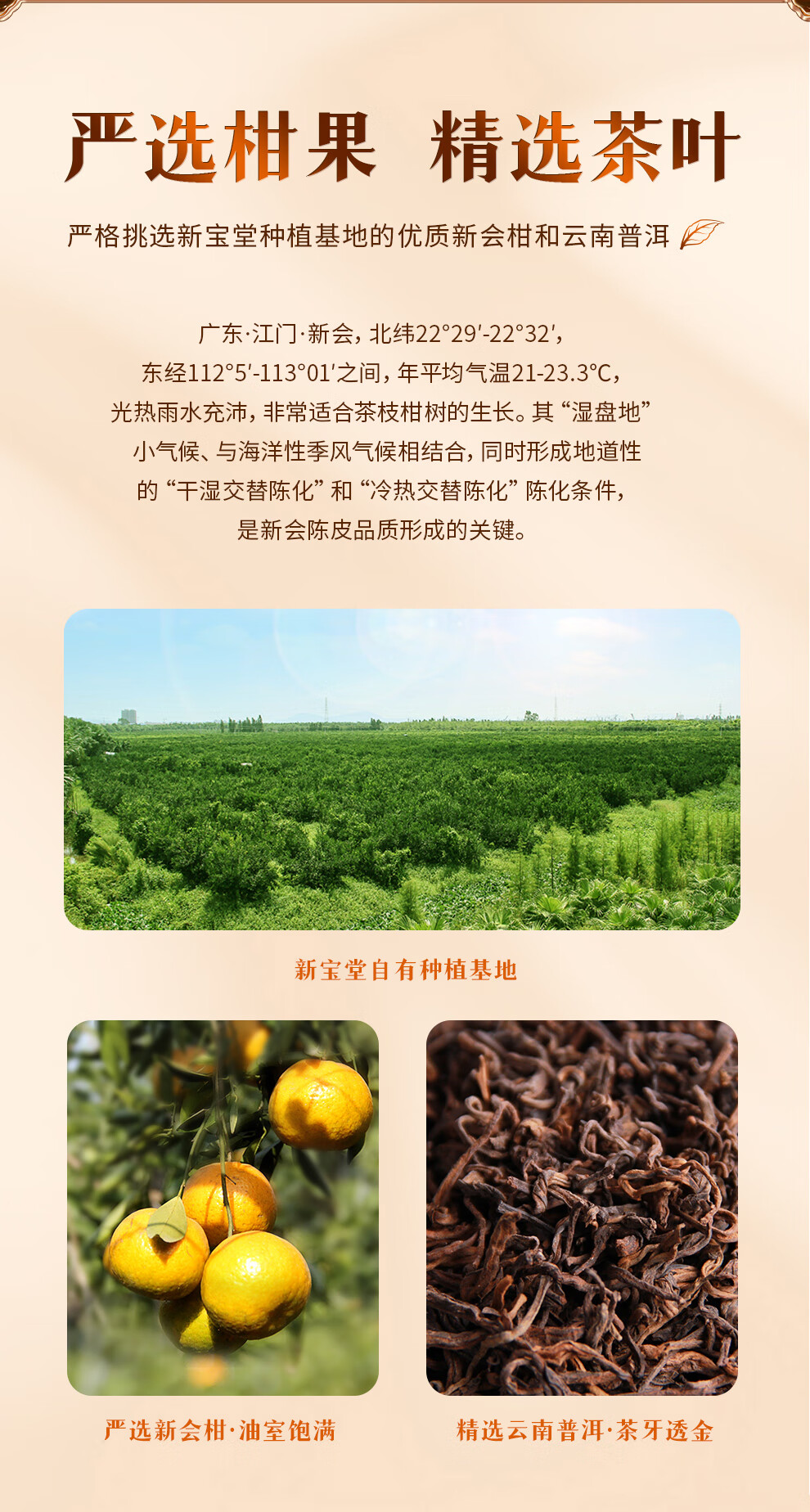 新宝堂 陈皮新会大红柑普茶熟茶红罐礼盒500克CY-HG500