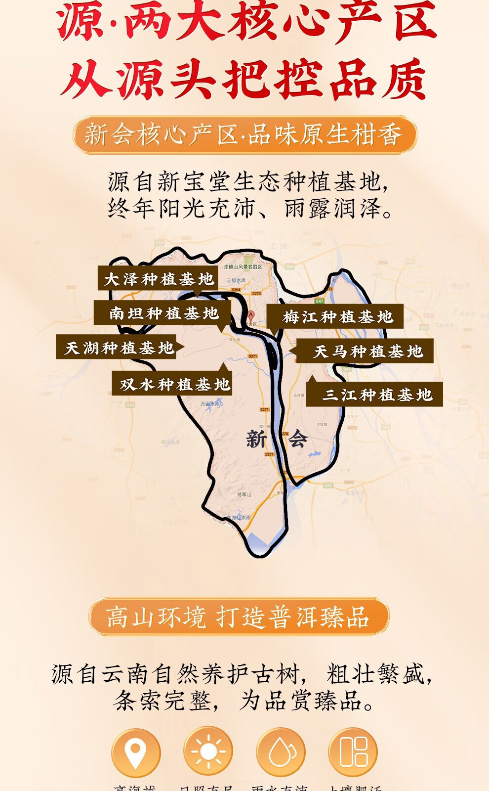 新宝堂 新会陈皮柑普茶熟茶特产精装礼盒180克CY-JG180