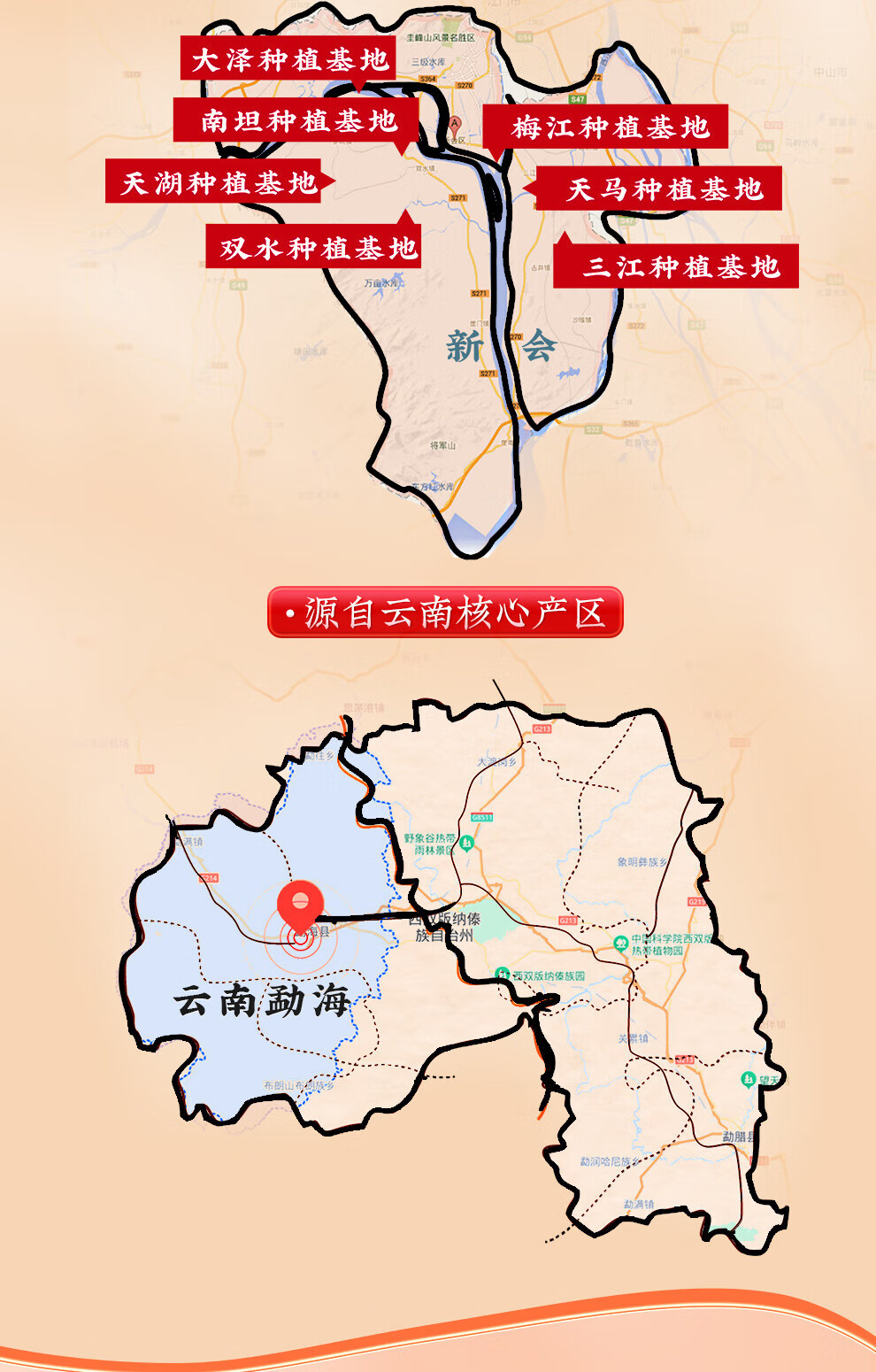 新宝堂 新会大红柑柑普熟茶陈香礼盒380克CY-CG380