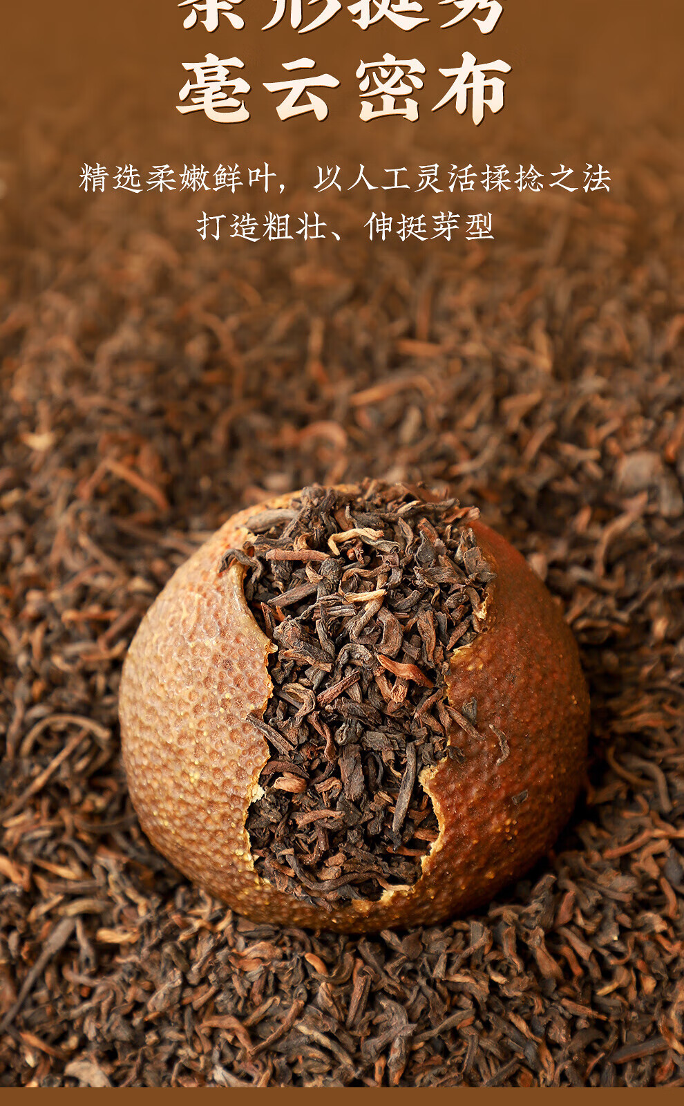 新宝堂 柑普茶礼盒柑普茶熟茶沉香盛世送礼礼盒360克CY-CG360