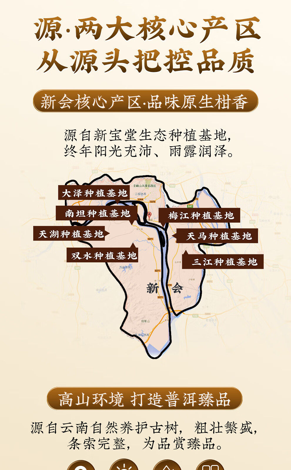 新宝堂 柑普茶礼盒柑普茶熟茶沉香盛世送礼礼盒360克CY-CG360