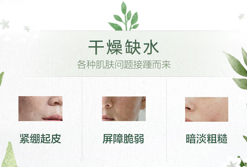 自然堂（CHANDO）雪域百合补水面膜26ml*5片 ZHT-1ZWMBH