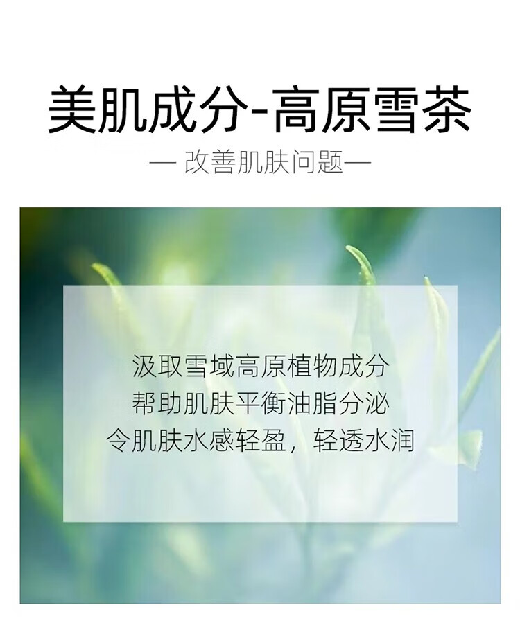 自然堂（CHANDO）雪茶平衡保湿面膜26ml*5片 ZHT-1ZWMXC
