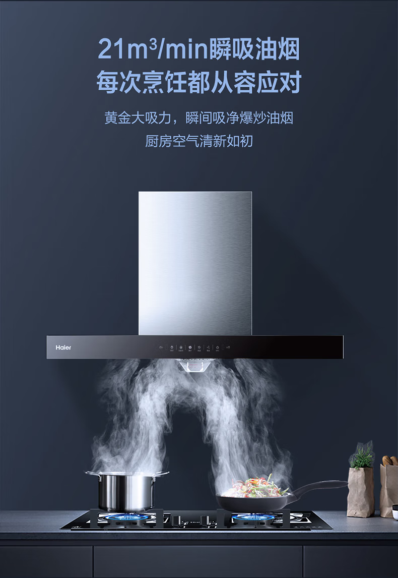 海尔（Haier）顶吸抽油烟机灶具套装家用 21立方大吸力欧式油烟机脱排天然气灶具智控自清洁吸排CXW-219-ET910